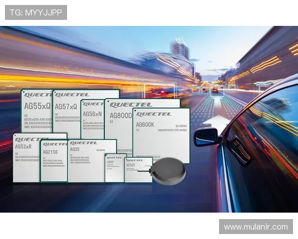ag登录大厅会员注册遇到问题怎么办？常见问题解决方案全解析